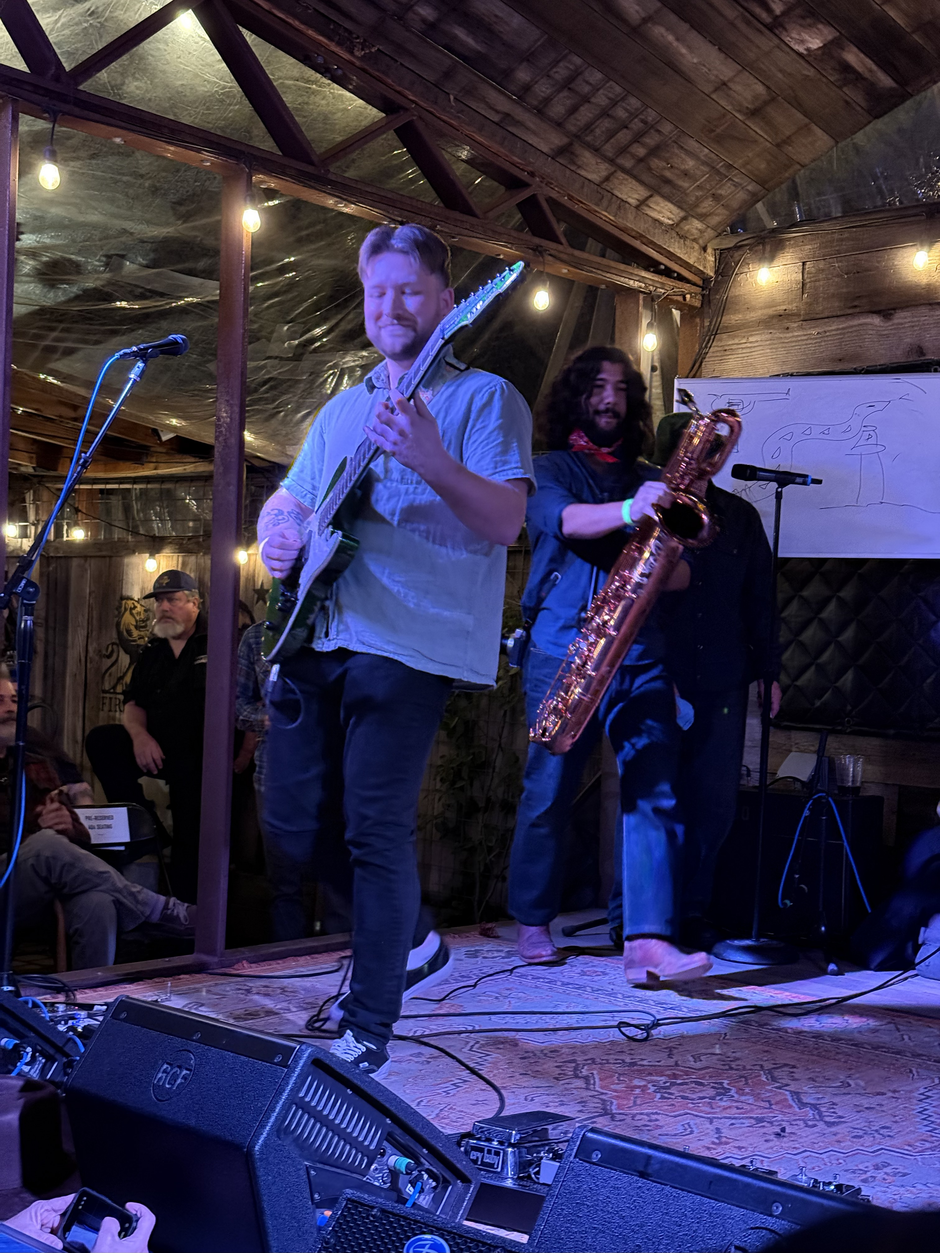 LesClaypool2025-11-22HopmonkTavernSebastopolCA (12).jpg